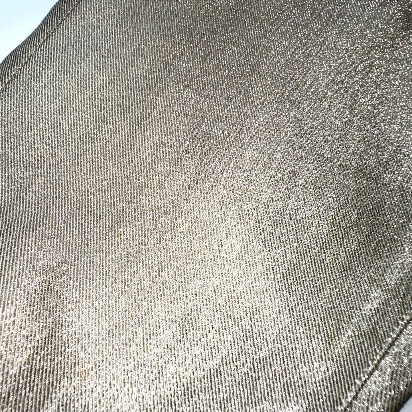 DIOR HOMME SS07 Glitter Jean